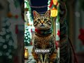 Кошки как волшебницы: Традиции и легенды