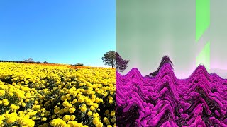 救済