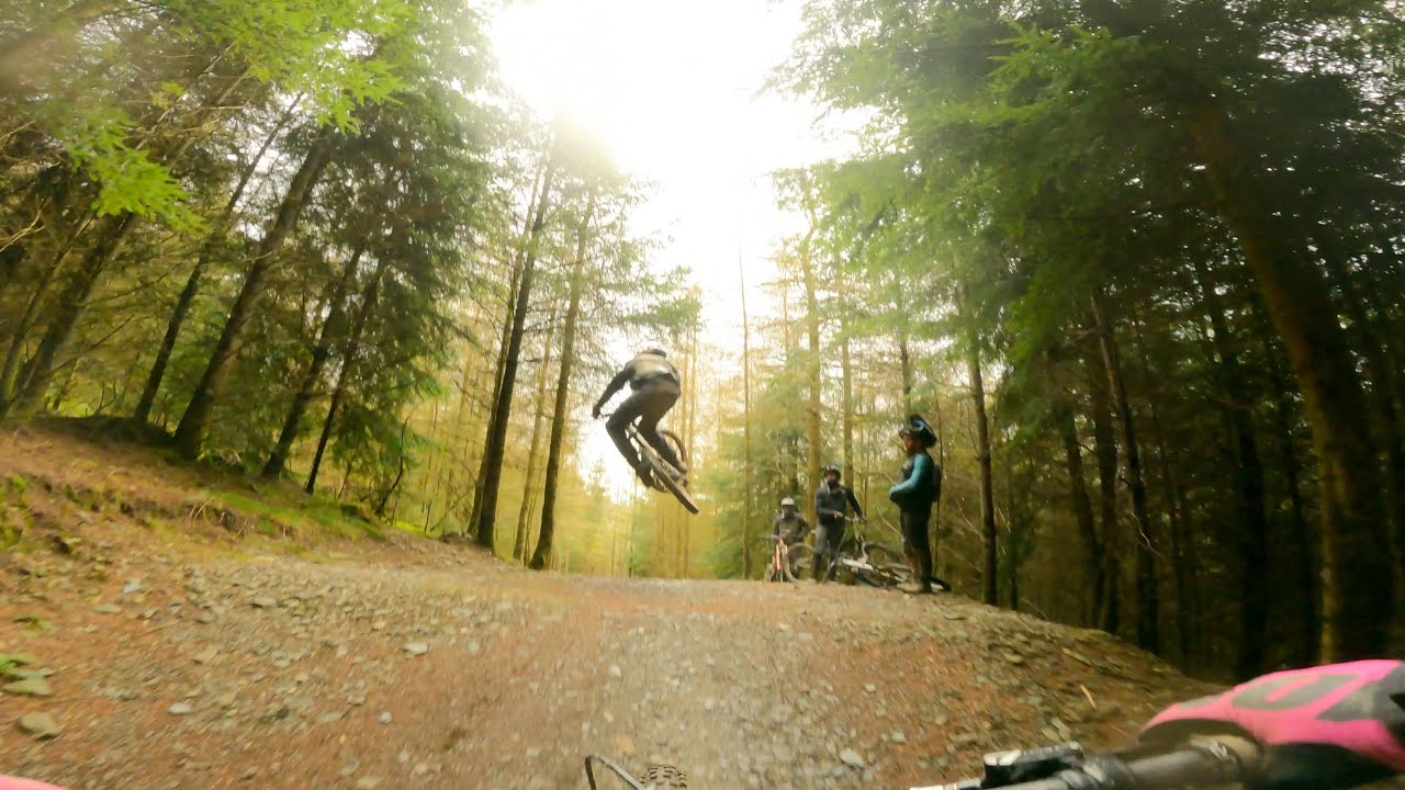Dyfi Bike Park - 50 hits