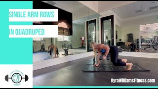 How to Do a Single Arm Row in Quadruped | Back & Core Exercise