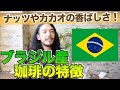 【生産量ダントツ世界No.1】ブラジル産コーヒー豆の特徴／王道の美味しさで人気のある産地！「カルモデオーロ」のご紹介