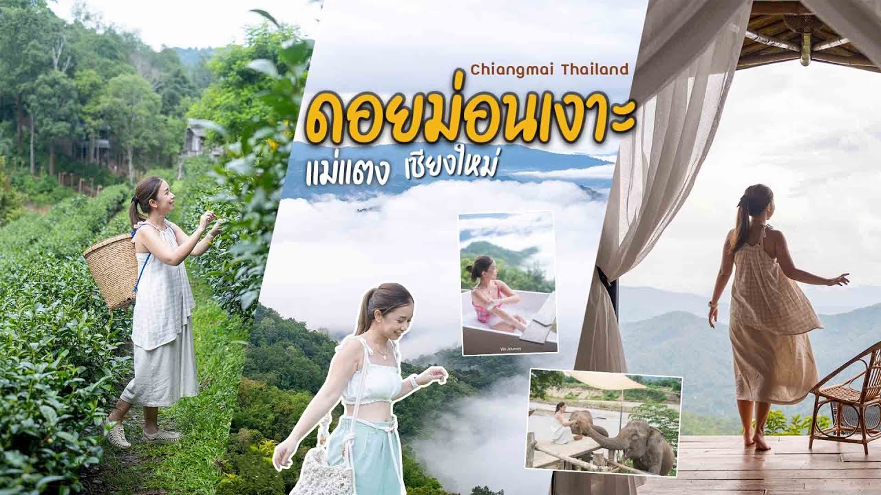 ดอยม่อนเงาะ แม่แตง เชียงใหม่ นอนจูเลี๊ยะแคมป์ กลางคืนชมดาว เช้าชมหมอก นั่งเล่นคาเฟ่ฟีลธรรมชาติ