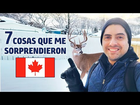 Video: ¿Debería mudarme a Lethbridge?