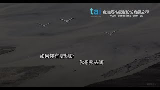 「鳥目台灣」簡介 Taiwan from the Air by 台灣阿布電影 154,763 views 11 years ago 3 minutes, 45 seconds