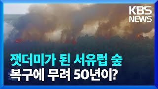 [르포] 서울 면적 반이 잿더미로…기후변화의 경고 / …