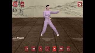 Learn Tai Chi Yang 24 on your Android screenshot 5
