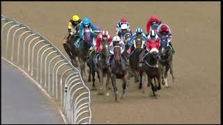 Vidéo de la course PMU PRIX GOLD CIRCLE HORSES TO FOLLOW PODCAST FM 70 HANDICAP