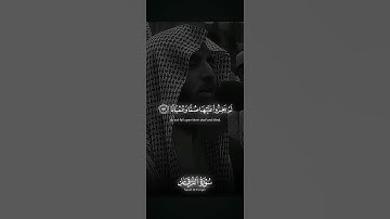 والذين لا يشهدون الزور {سورة الفرقان} #قرآن_كريم #راحة_نفسية