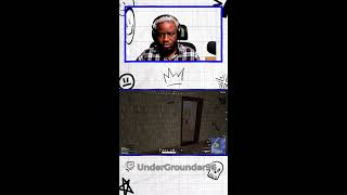 Easy Chicken (again)!? |  New Streamer (Portrait)