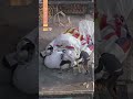 Flaming balloon crashes into a home in Rio’s North Zone