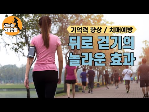 치매를 예방하는 운동, 초간단 기억력을 높이는 방법인   뒤로걷기 효과  - 걷는놈 건강한몸