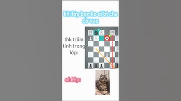 sức mạnh của ẩn danh | #memes #chess