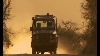 Viasat Nature - Viasat Most Endangered, Leijonat