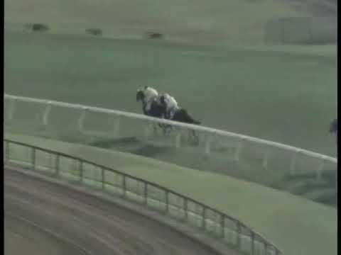 競馬パネル：カブラヤオー「1975年 第42回東京優駿」 競馬パネル：カブラヤオー「1975年 第42回東京優駿」 競馬パネル