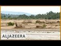 Kenia Tausende Hektar Ackerland Durch Überschwemmungen Zerstört Al Jazeera English