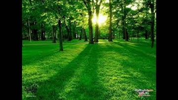 سوره الجن تلاوه رائعه بصوت فضيلة الشيخ ادريس ابكر