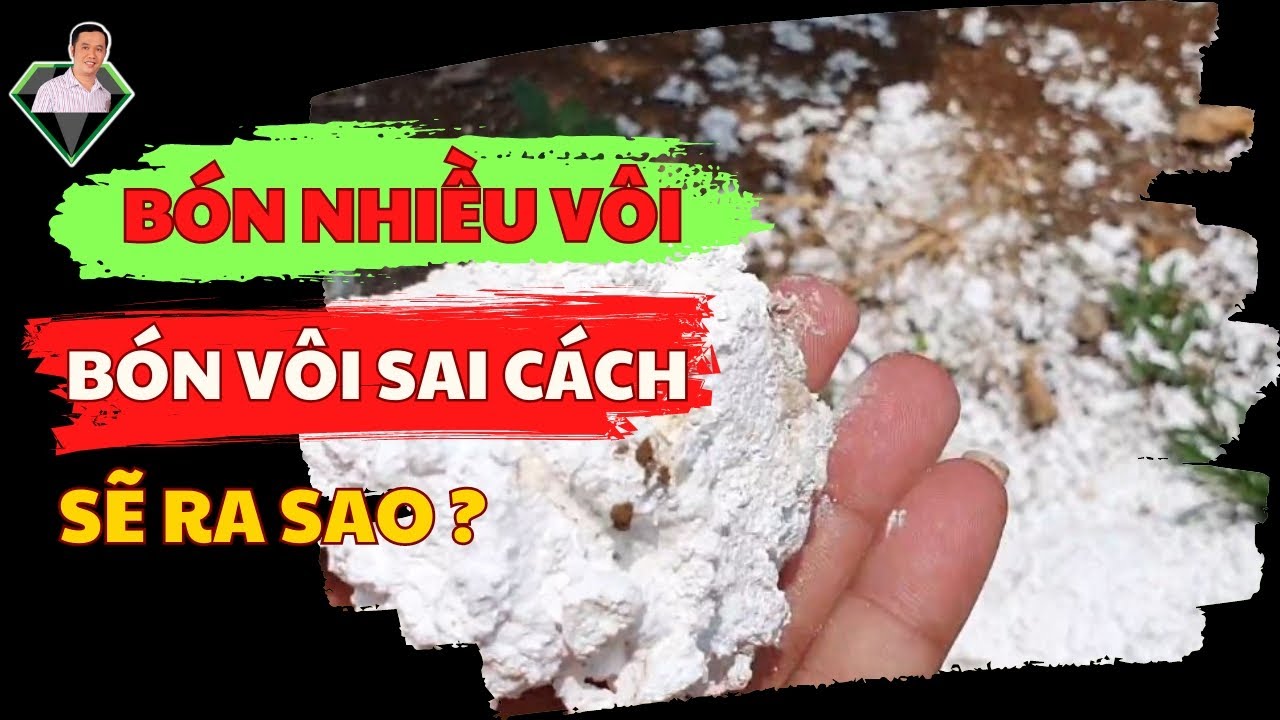 CẢNH BÁO: Hậu Quả Khôn Lường Của Bón Nhiều Vôi, Bón Vôi Dư, Bón Vôi Sai Cách Khi Canh Tác Cây Trồng