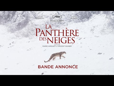 LA PANTHÈRE DES NEIGES - Bande-annonce