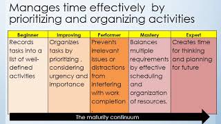 Mini Lesson: Personal Effectiveness (Managerial Competency Overview)