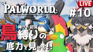 【Palworld | パルワールド】鳥パル縛りでボス全部倒すぞ！？#10【Vtuber | 初見歓迎】