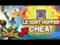 HUPPER NOUVEAU SORT HADOPI CHEAT SUR DOFUS