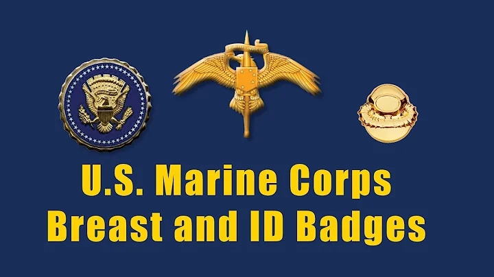 Distintivi del Corpo dei Marines degli Stati Uniti: Ali, Equipaggi aerei, Paracadutisti, EOD, Subacquei, Operazioni speciali e Identificazione!