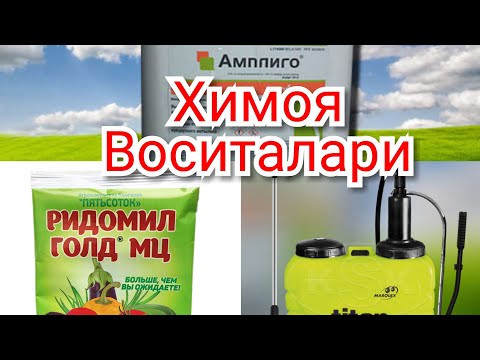 Video: Uzumni Pestitsidlarsiz Kasalliklardan Himoya Qilish: B Guruhi Vitaminlari, Süksinik, Salitsil Va Borik Kislotalari