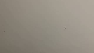 stare at the wall