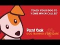 Teach your dog to 'come when called' Teach your dog to 'come when called'