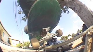 Sebo Walker Thrasher