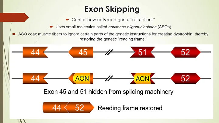 Clinical Trials and Research Updates in Neuromuscular Care
