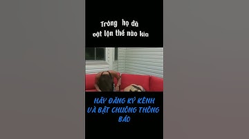 Phản ứng của 2 cô gái khi ăn quả ớt cay nhất thế giới sẽ như thế nào #shorts #short #trending