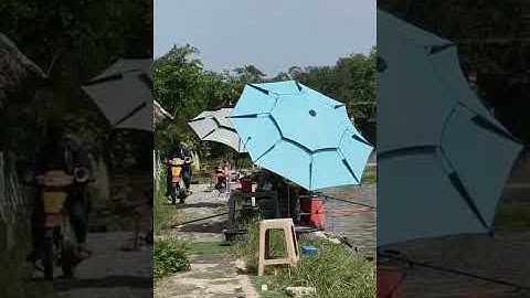 Vlogs 321 Báo cá - Hồ Câu Ngọc Tâm 0339955545 Phạm Văn Hai, Bình Chánh, Tp. HCM || Mần Nông Vlogs