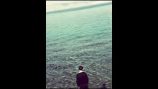 موسيقى الصقر الحزين كاملة