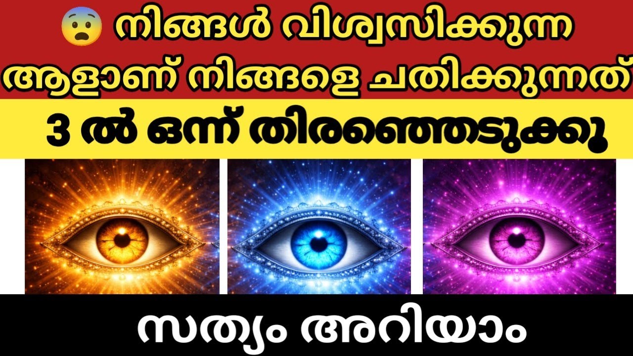 😨 നിങ്ങൾ വിശ്വസിക്കുന്ന ആളാണ് നിങ്ങളെ ചതിക്കുന്നത് | 3ൽ ഒന്ന് തിരഞ്ഞെടുക്കൂ – സത്യം അറിയാം|Thodukuri