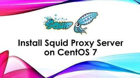 squid proxy server