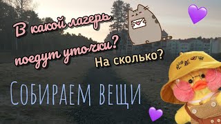 УТОЧКИ LALAFANFAN поедут в ЛАГЕРЬ?! 😮/Что взять уточкам на смену 🌼✨🦔/Лагерь 