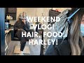 Weekend Vlog| New Hair, Good Food, Harley!