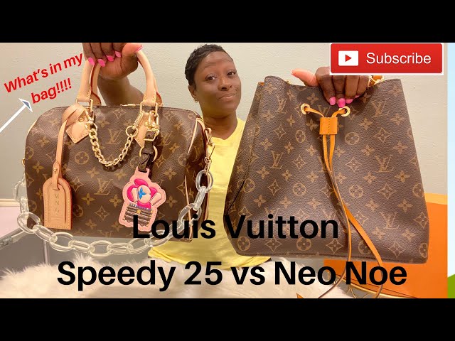 Louis Vuitton Ebene Neo Noe Saffron - A World Of Goods For You, LLC