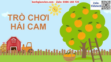 Giáo án powerpoint chương VIII - bài: Ôn tập chương 8 | GA điện tử Công nghệ 10 KNTT