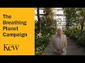 Kew Gardens - The Breathing Planet Campaign