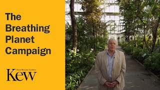 Kew Gardens - The Breathing Planet Campaign