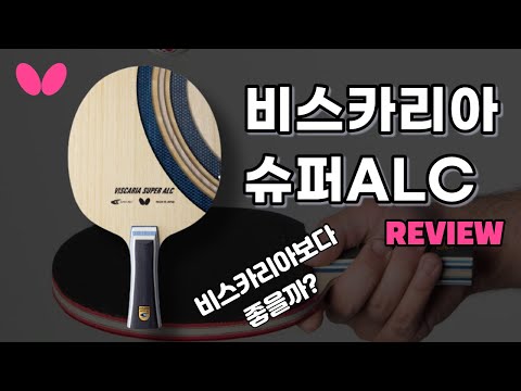 플라이비