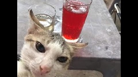 Lab 7 | Nhập Môn Công Nghệ Thông Tin