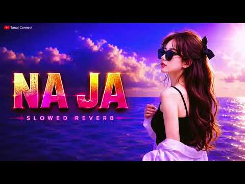 Na Ja 🌙 | Slowed + Reverb Lofi | Romantic Punjabi Song | Night Vibes 🎧