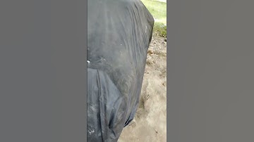 #Enchanting Dera A Glimpse of Serenity