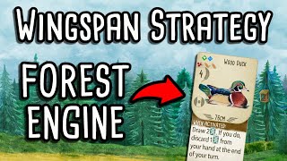 Wingspan Strategy | How to build a strong forest engine!