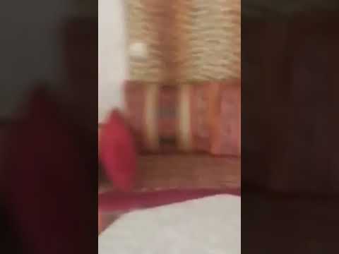 منازيل للكيراء في اكدير تمن موناسيب