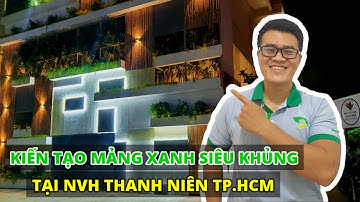 Hướng dẫn che khuyết điểm Vách tường bằng Cây Xanh - Kiến tạo không gian Xanh