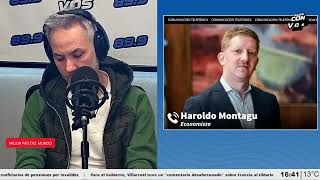 Haroldo Montagu: "Caputo dice que el dólar va a perder su valor. La pregunta es cómo van a hacerlo"